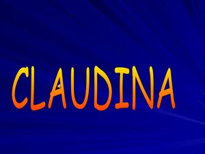 Claudina Dibujos Arantxa Silla Ppt