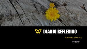 Diario Reflexivo