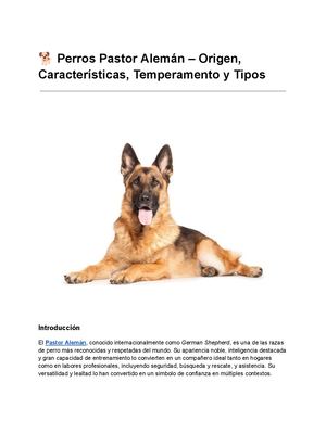 ???? Perros Pastor Alemán – Origen, Características, Temperamento Y Tipos