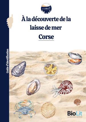 A la découverte de la laisse de mer corse