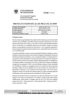 Proyecto Individual de Prácticas (PIP) MAES UGR 24/25