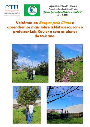 Aula no Bosque em março de 2025