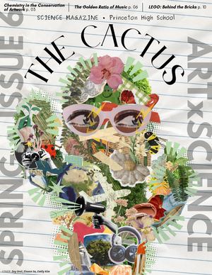 The Cactus Spring 2025: ArtxScience