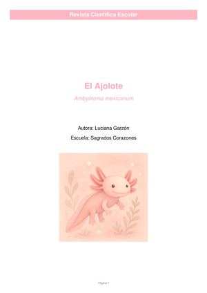 Revista Del Ajolote Mas Mapa Mental