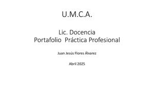 Portafólio Práctica Profesional Juan Flores Alvarez