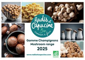 Mushroom Kits 2025 RC