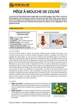 Fiche technique - Piège à mouches de l'olivier