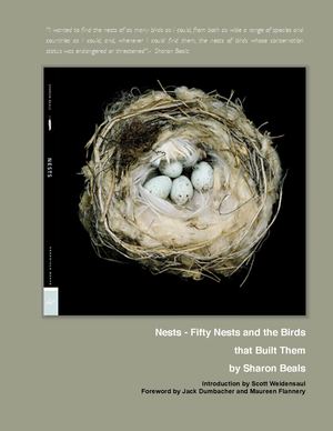 Sharon Beals Artist - Science To Sage