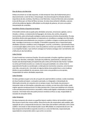 ÁRea De Broca E De Wernicke