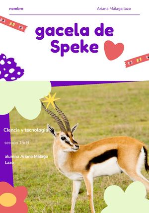 Gacela De Speke 2025