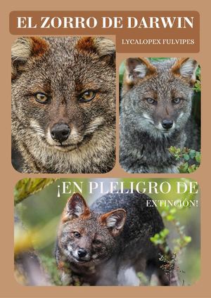 ESPECIES EN EXTINCIÓN