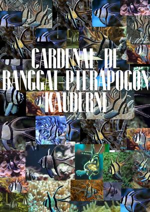 Pterapogon Kauderni - Cardenal de Banggai