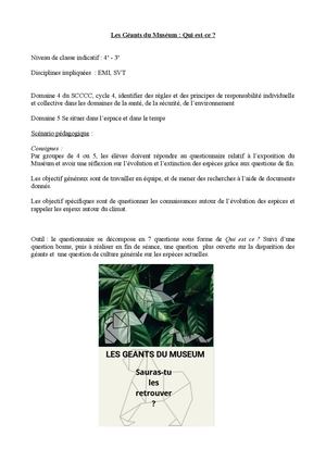 SAULCY Mikaël - Scénario Pédagogique