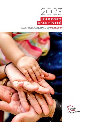 Rapport D'activité Vf