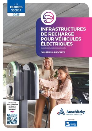 Guide Bornes IRVE - AUSCHITZKY