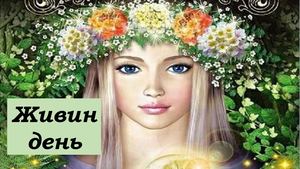 Живин день