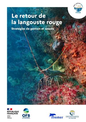 Le retour de la langouste rouge