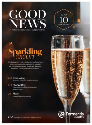 GoodNews #10 - 2024 - HUNGARIAN