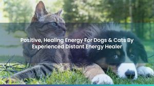 Positive, Healing Energy For Dogs & Cats By Experienced Distant Energy Healer
