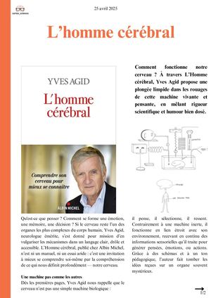 L’homme Cérébral Cortex Sciences 2025