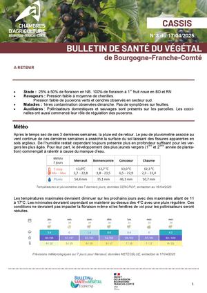Bsv Cassis N 3 Du 17 04 2025