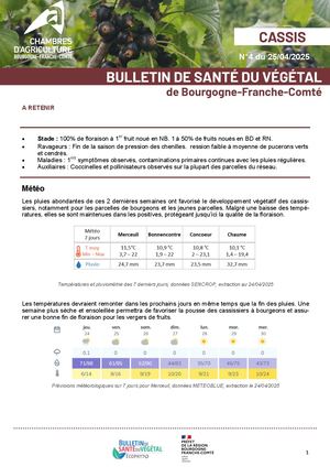 Bsv Cassis N 4 Du 25 04 2025