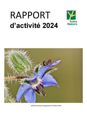 Rapport D'activité 2024