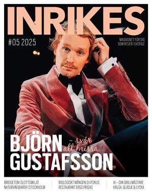 Inrikes 5 2025
