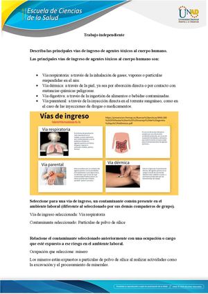 Trabajo Independiente