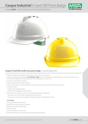 MSA CASQUE VGUARD 500