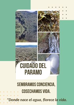 Revista Digital Botánica 20250426 190435 0000 Pdf 20250426 193005 0000