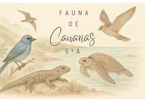 Fauna 5ºa Cono Merged