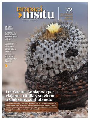 Revista Tarapacá Insitu Edición 72