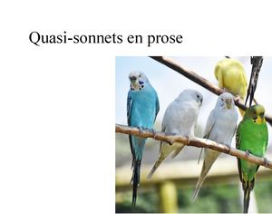 Quasi-sonnets en prose