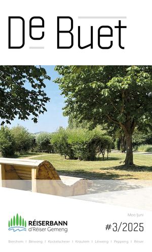 De Buet Mee Juni 2025