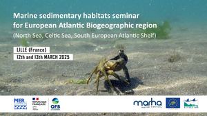 Marine Sedimentary Seminar Life Marha Day 2 Vf