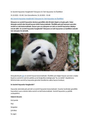 En Sevimli Hayvanlar Hangileridir