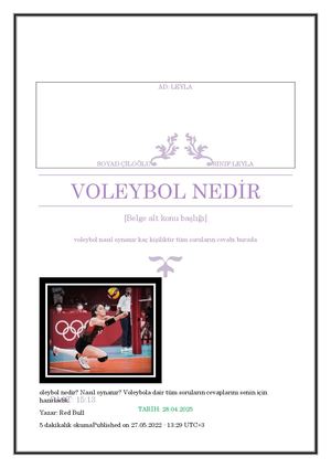 Voleybol Nedi̇r