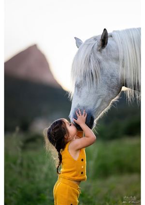 Photographe Equin Gard Cheval Camargue Nature