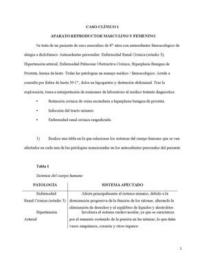 Sistema Reproductor Masculino Y Femenino