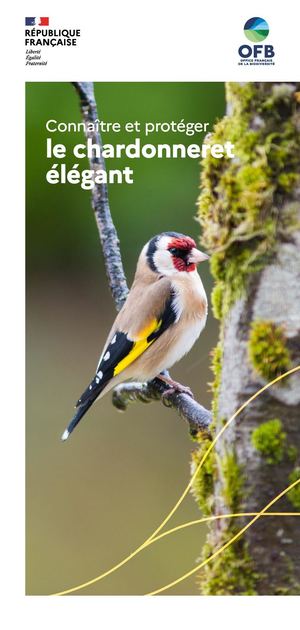 Connaître et protéger le chardonneret élégant