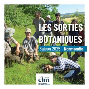 Programme Sorties Botaniques Normandie 2025