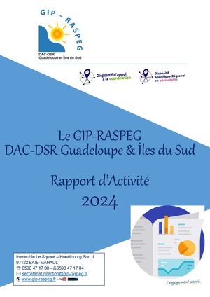 Gip Raspeg Rapport D'activité 2024