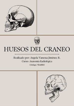Huesos Del Craneo