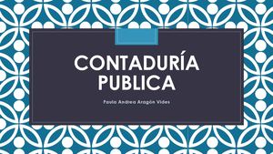 Contaduría Publica