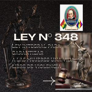 Ley 348