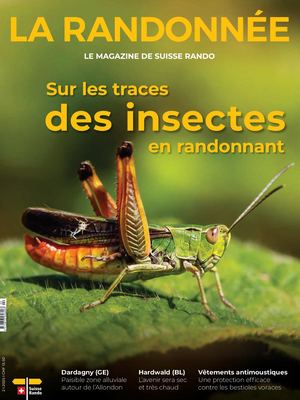 La Randonnée2, 2025