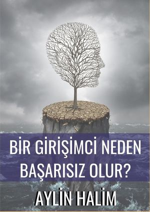 Bi̇r Gi̇ri̇şi̇mci̇ Neden Başarisiz Olur