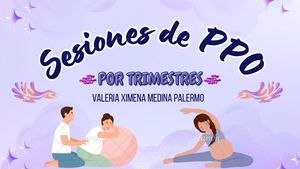 Manual para sesiones en PPO por trimestres