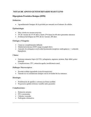 Notas De Apoyo Genitourinario Masculino